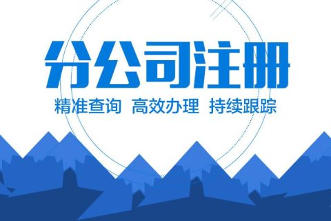 在拉薩設(shè)立分公司的流程、所需材料、辦理時(shí)間