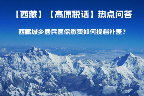 西藏城鄉(xiāng)居民醫(yī)保繳費如何提檔補差？