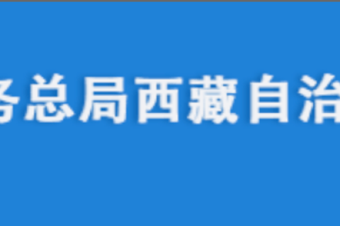 電腦更換后，自然人電子稅務局扣繳端申報收入額如何進行累計？