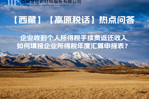 企業(yè)收到個人所得稅手續(xù)費返還收入，如何填報企業(yè)所得稅年度匯算申報表？