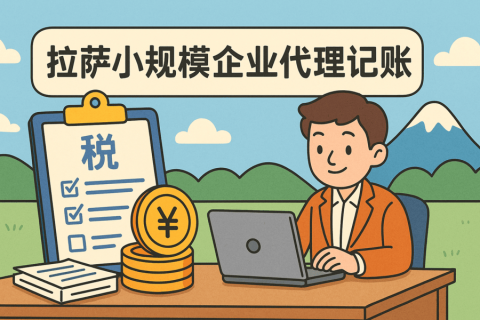 拉薩小規(guī)模企業(yè)適合代理記賬嗎？成本與效率對比